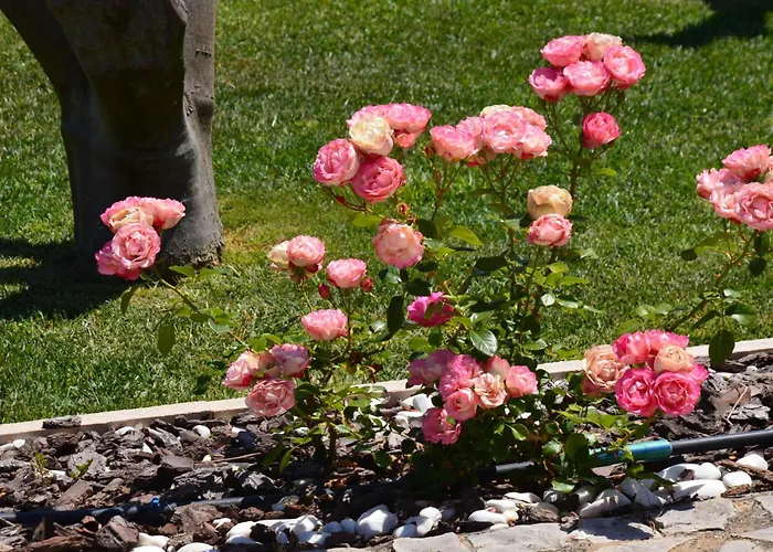 Apartment Casa Da Horta-ch10- 2-zimmer-wohnung- Pool By Interhome Albufeira